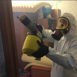 Уничтожение клопов в квартире. Медвежьи Озёра