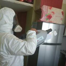 Уничтожение насекомых в квартире. Медвежьи Озёра